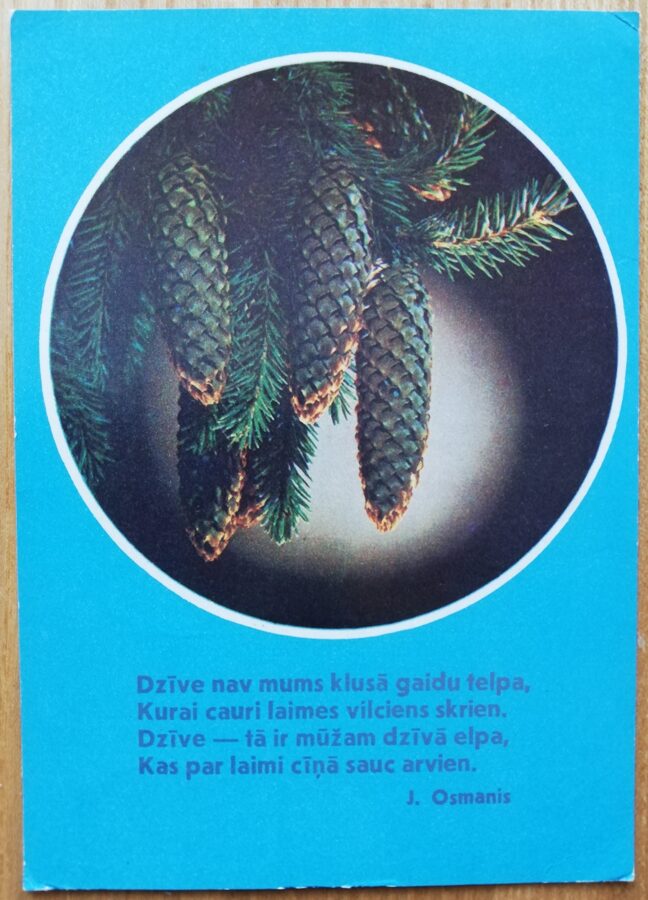 Laimīgu Jauno gadu! 1974 Ziemassvētku eglītes čiekuri 10x14,5 cm Jaungada kartiņa Latvija  