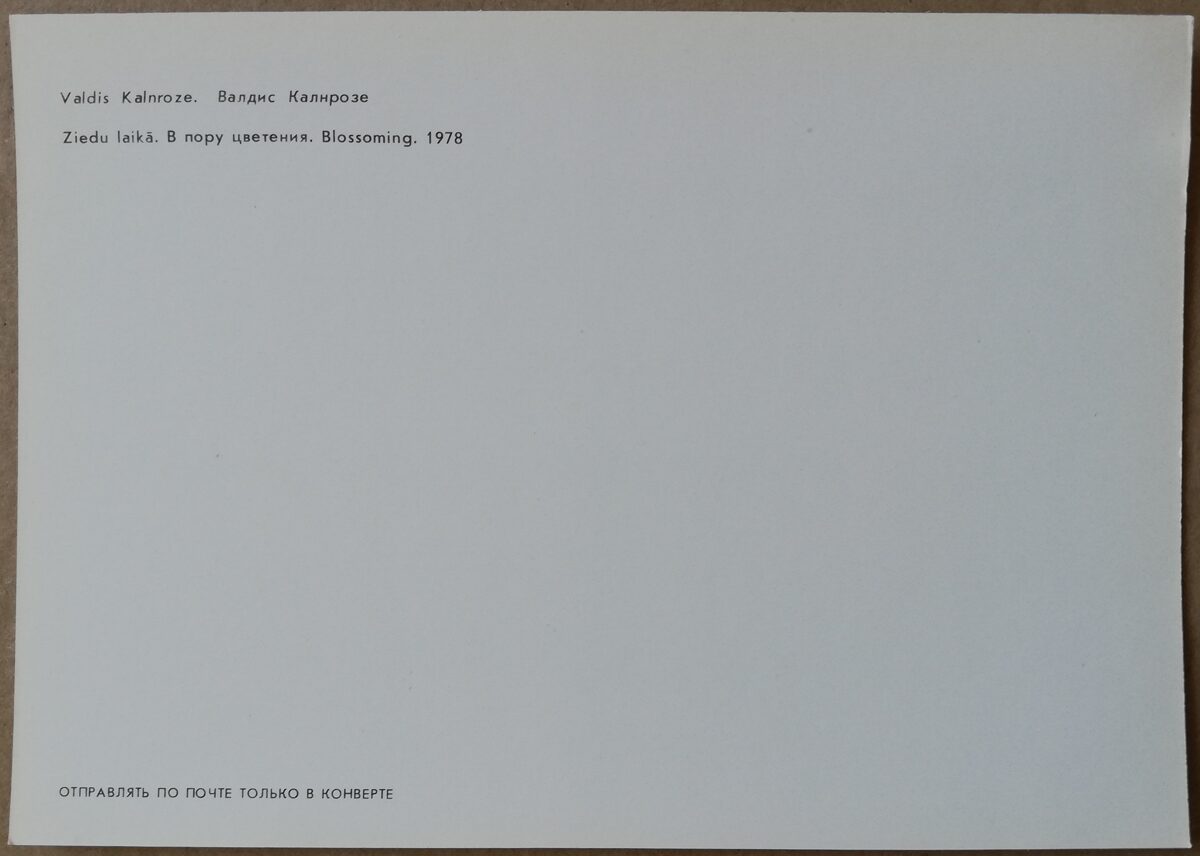 Valdis Kalnroze "Ziedu laikā" 1986. gada mākslas pastkarte 15 * 10,5 cm 