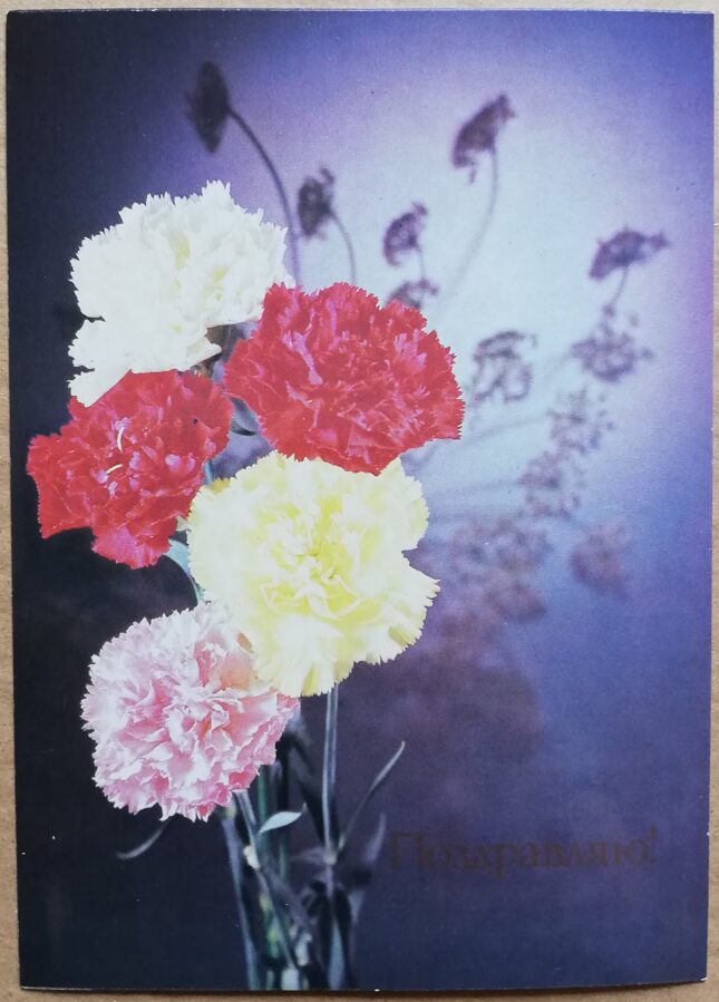 Apsveikuma pastkarte "Ziedi" Neļķes 1989. gada 10,5x15 cm 