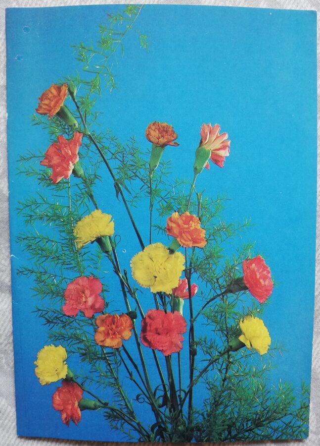 Apsveikuma kartīte "Sarkanās un dzeltenās neļķes" 1986/1987 "Ziedi" 10,5x15 cm. Foto: Ju. Šarovs.