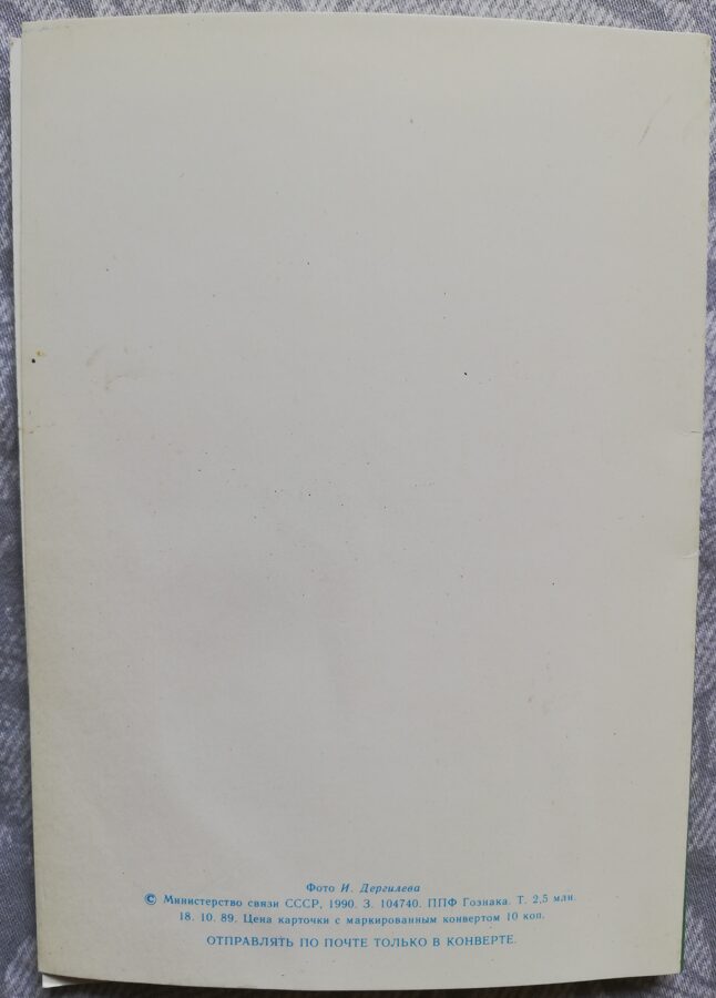 Apsveikuma kartīte "Baltās rozes" 1990. gada "Ziedi" 10,5x15 cm. I. Dergileva foto