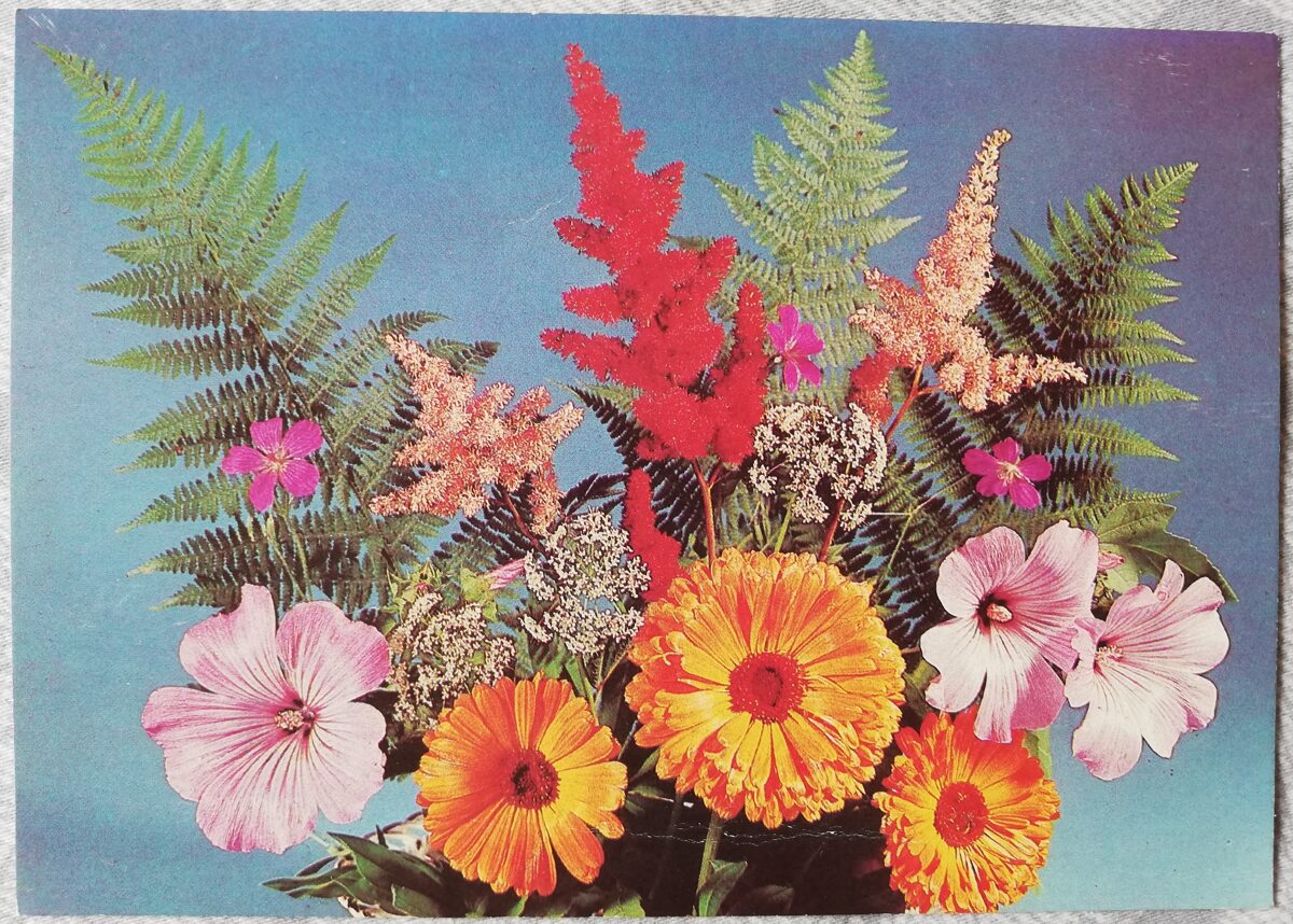 Apsveikuma kartiņa "Pušķis ar papardi" 1990. gada "Ziedi" 15x10,5 cm. B. Krutsko foto