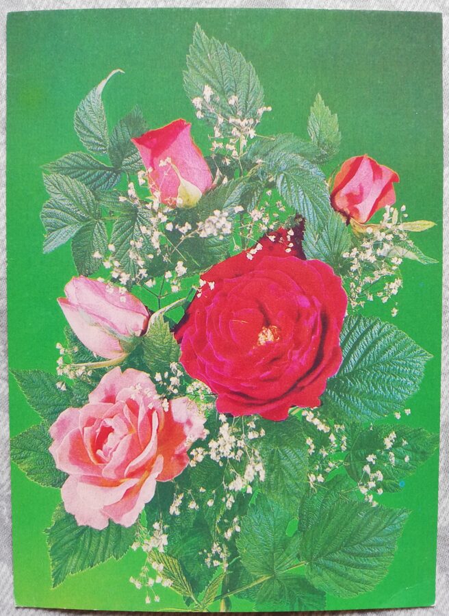 Apsveikuma kartiņa "Sarkanas un rozā rozes" 1987 "Ziedi" 10,5x15 cm. Foto: I. Dergilev