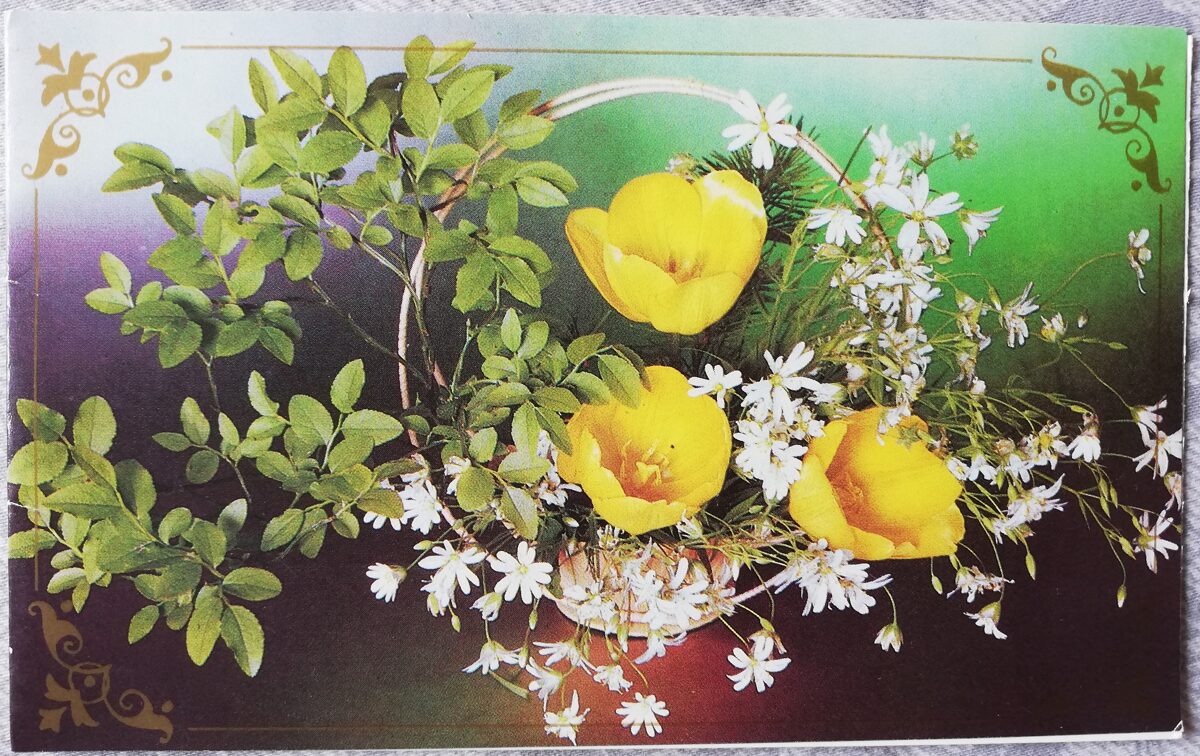 Apsveikuma kartīte "Dzeltenās tulpes" 1989 "Ziedi" 15,5x9,5 cm. V. Zelenova foto