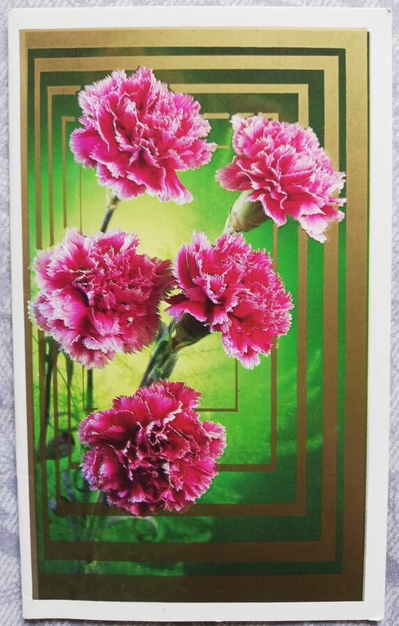 Apsveikuma kartīte "Sarkanās neļķes" 1986 "Ziedi" 9,5x15,5 cm. Foto: G. Kostenko