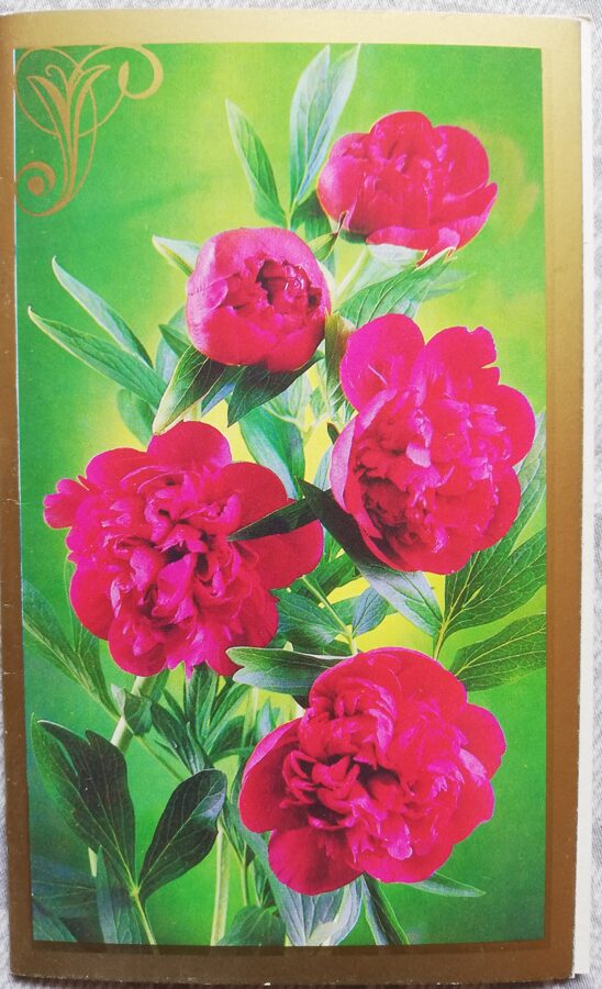 Apsveikuma kartīte "Sarkanās peonijas" 1986 "Ziedi" 9,5x15,5 cm. Foto: G. Kostenko