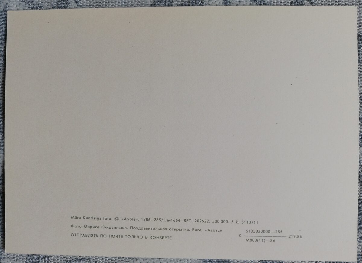 Apsveikuma kartīte "Sarkanās neļķes" 1986 "Ziedi" 15x10,5 cm. Māra Kundziņa foto