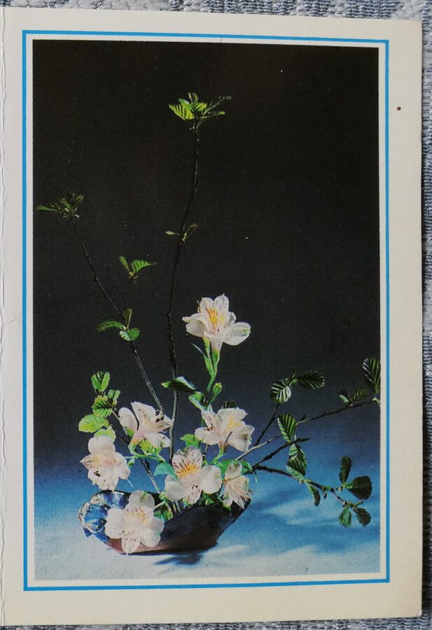 Apsveikuma kartīte "Baltās frēzijas" 1986 "Ziedi" 7,5x10,5 cm. Foto: Vladimirs Kalva