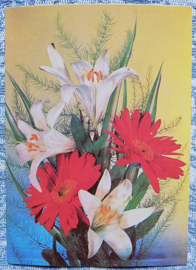 Apsveikuma kartiņa "Gerberas un lilijas" 1985 "Ziedi" 10,5x15 cm. I. Dergileva foto