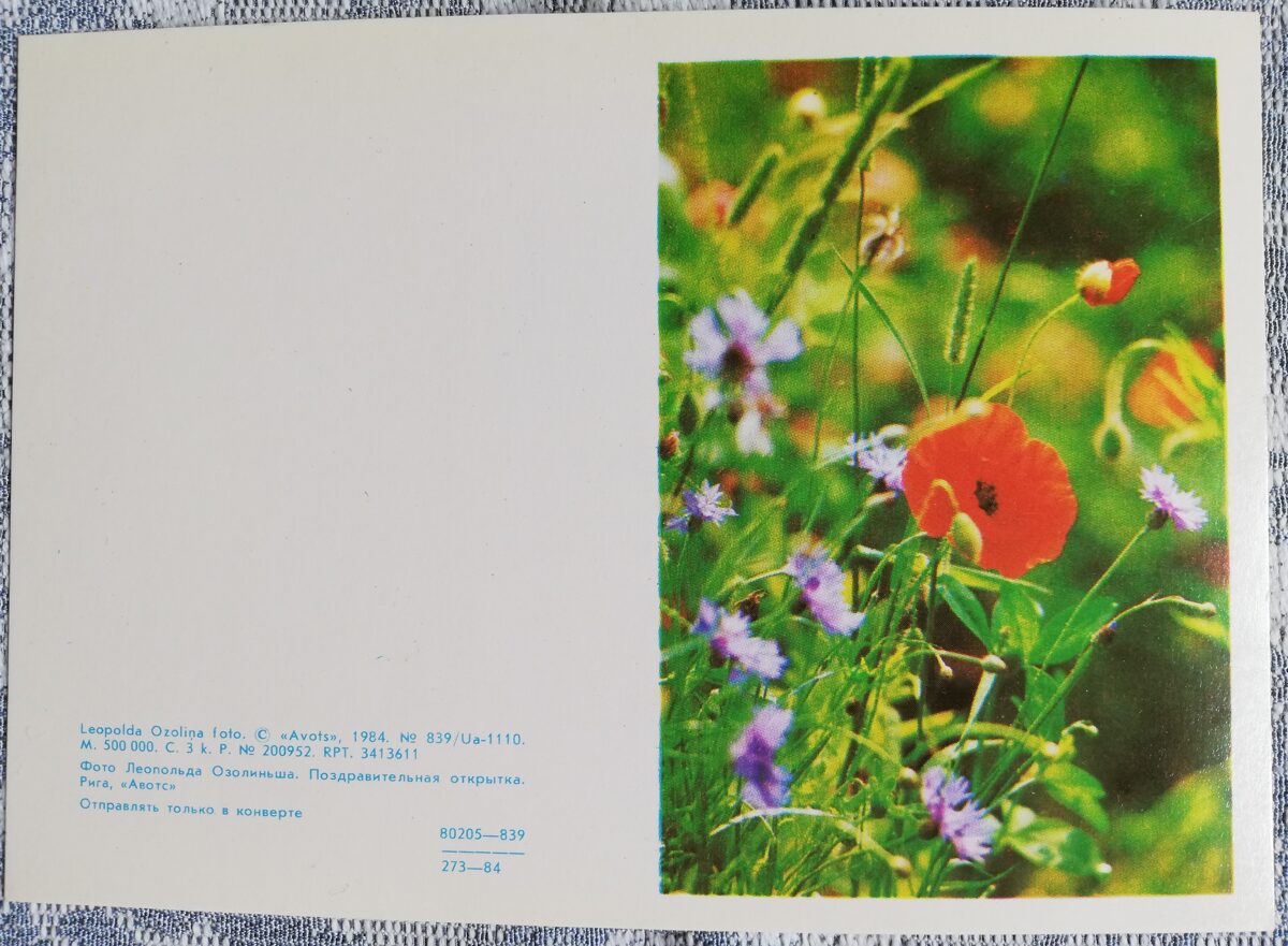 Apsveikuma kartīte "Sarkanā magone un rudzupuķes" 1984 "Ziedi" 7,5x10,5 cm. Leopolda Ozoliņa foto