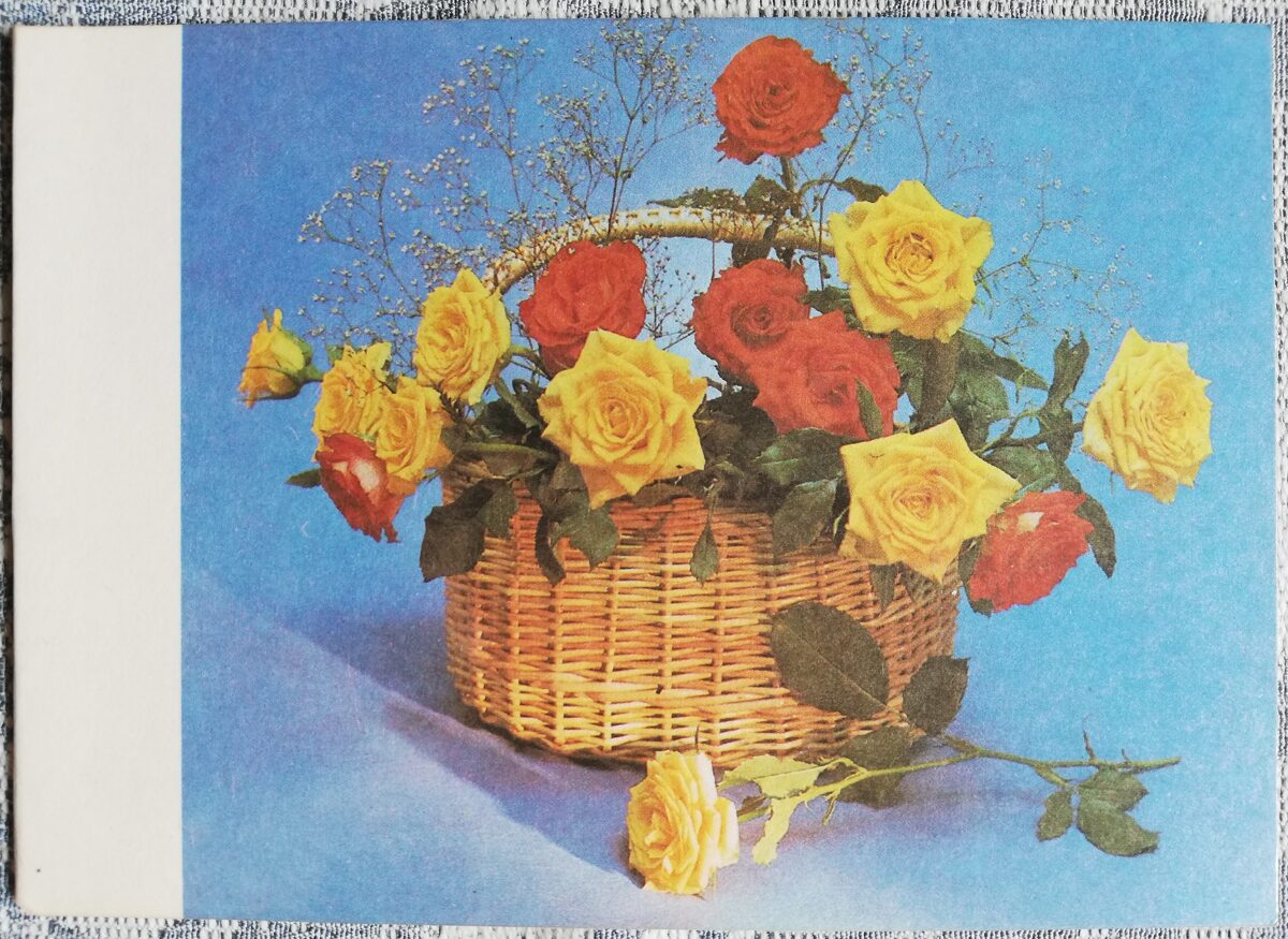 Apsveikuma kartīte "Sarkanas un dzeltenas rozes grozā" 1984 "Ziedi" 15x10,5 cm. G. Janaitisa foto