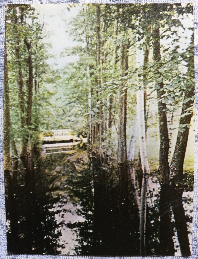 Юрмала Кемери 1963 год В Кемерском парке. 10,5x14 см