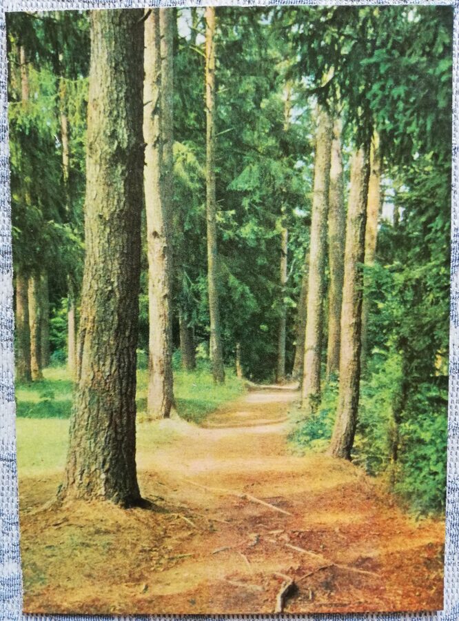 Ogre 1966 Parogres parks 10x14 cm pastkarte