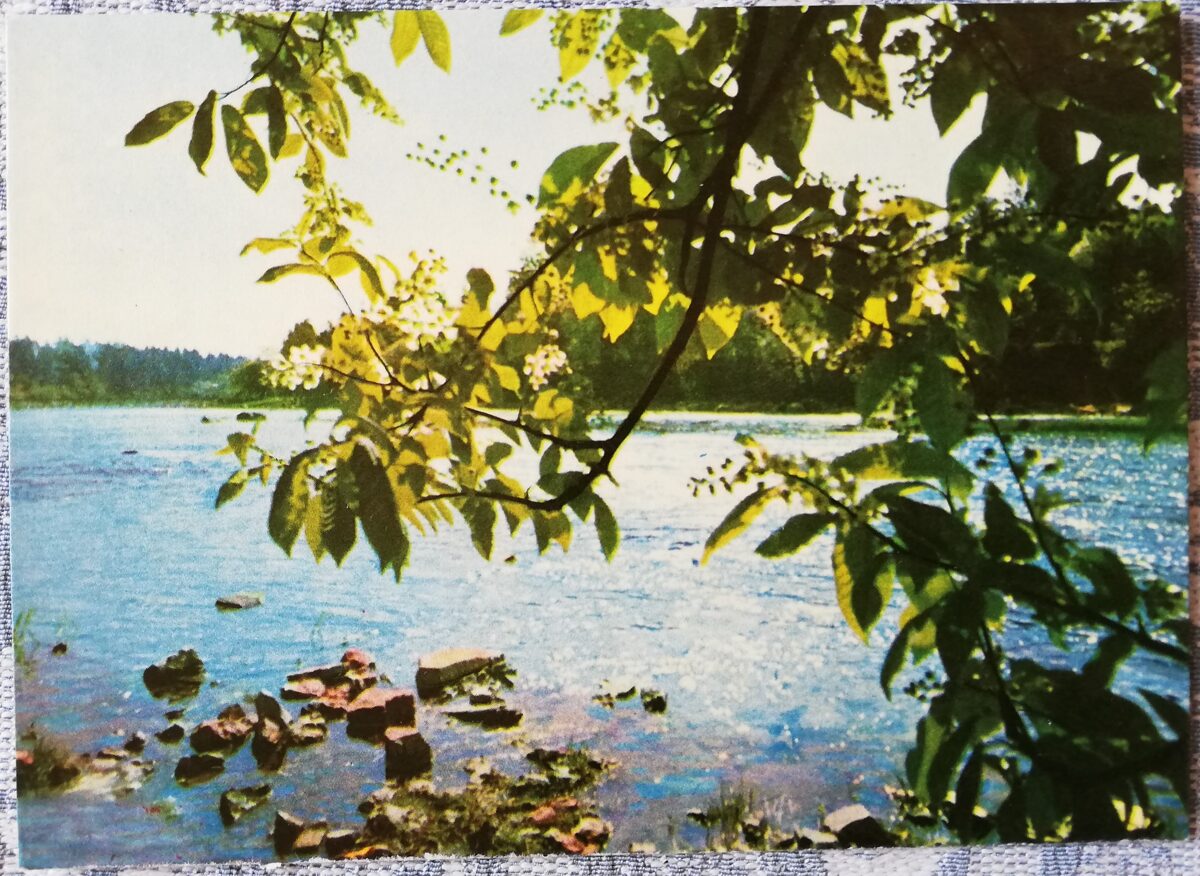 Ogre 1966 Ogre River in spring 14x10 cm postcard