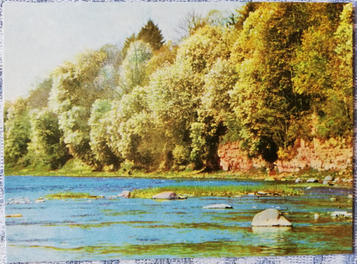 Ogre 1966 Ogres upes krastā aug Parastā ieva 14x10 cm pastkarte