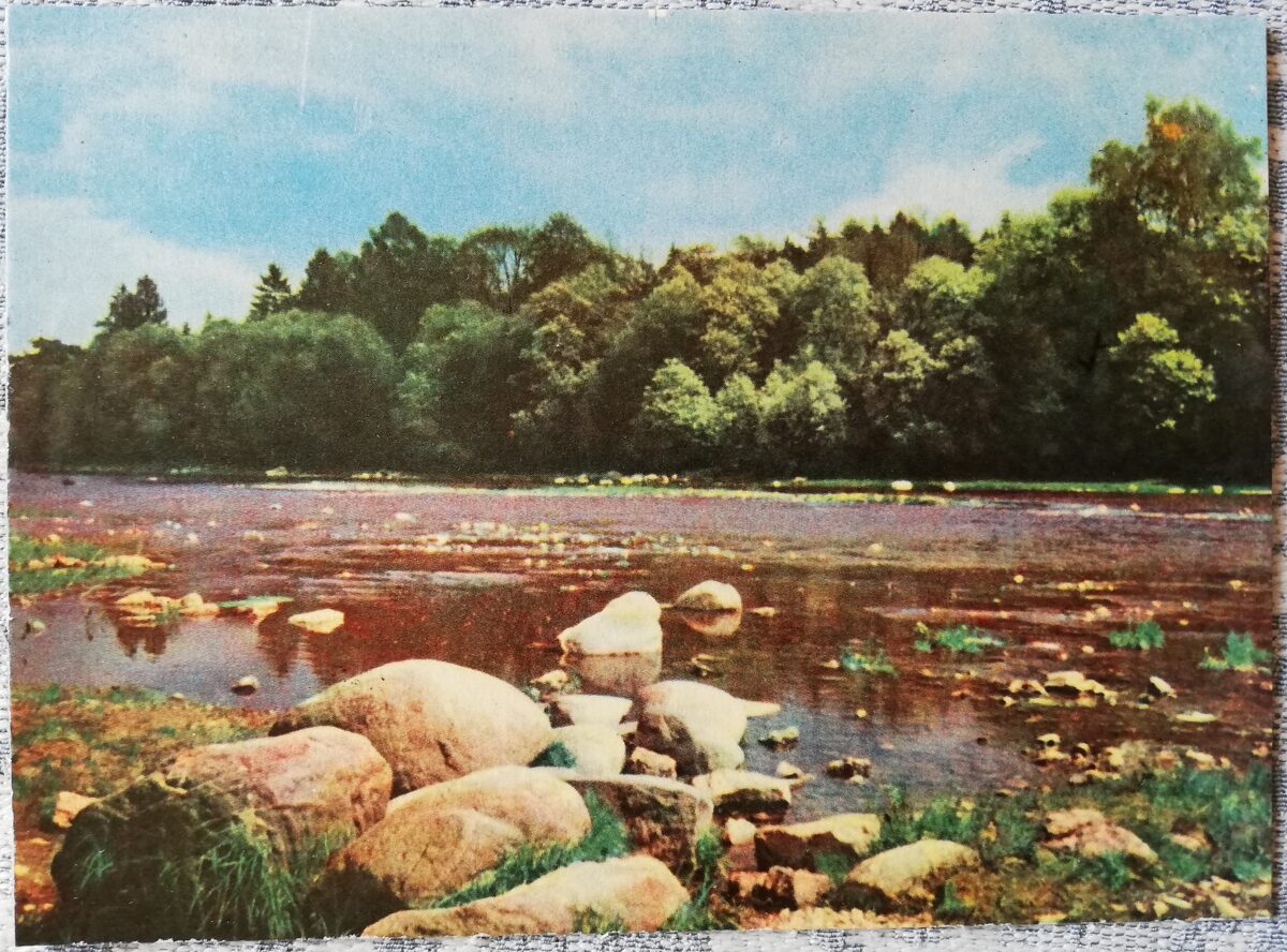 Ogre 1966 Ogres upes krasts  14x10 cm pastkarte