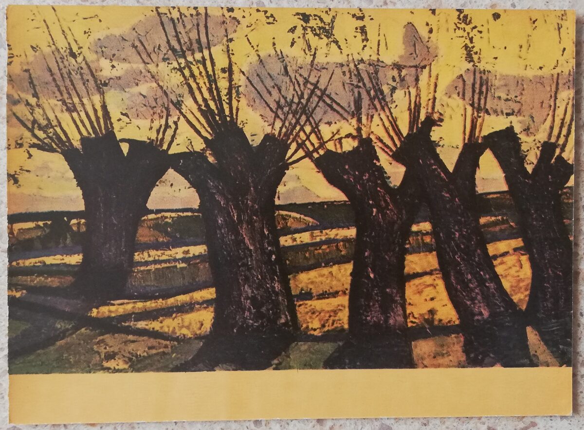 Laimdots Murnieks 1967 Willows 14x10 cm art postcard 
