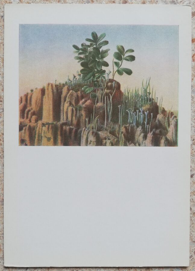 Lidija Meškaitite 1962 No cikla "Meža pasakas" 10,5x15 cm mākslas pastkarte 