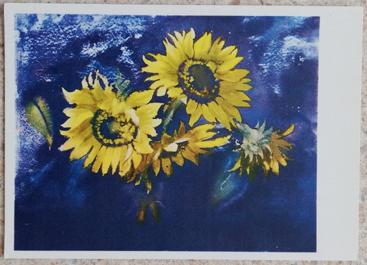 Kārlis Sūniņš 1967 Saulespuķes 14x10 cm mākslas pastkartes klusā daba 