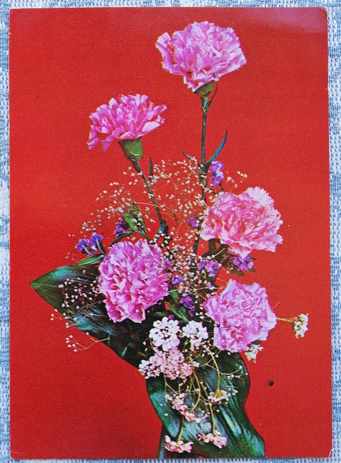 1984 "Neļķes" 10,5x14,5 cm Apsveikuma kartīte; krāsaina fotogrāfija S. Martjahinina 