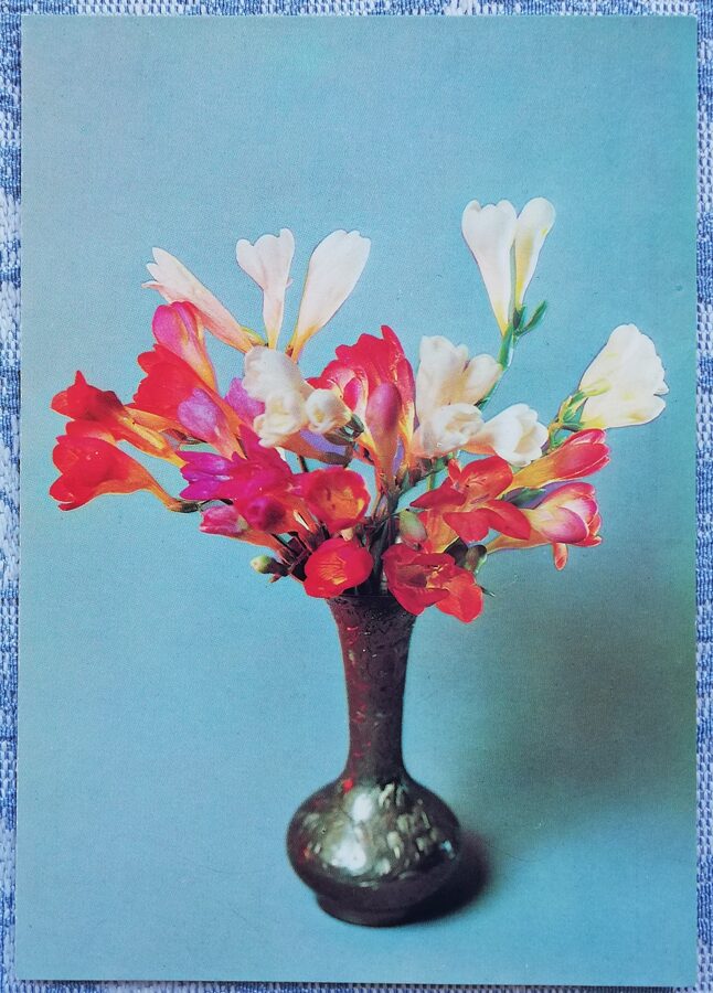 1984 "Pušķis, frēzijas" 10,5x14,5 cm Apsveikuma kartīte; krāsaina E. Savaļova fotogrāfija 