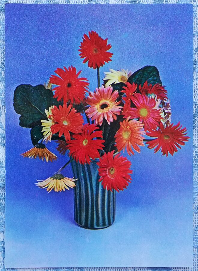 1984 "Kompozīcija ar gerberām vāzē" 10,5x14,5 cm Apsveikuma kartīte; Yu Sharov krāsainā fotogrāfija 
