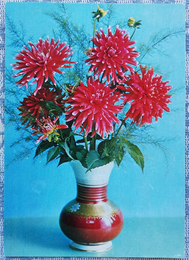 1984 "Dālijas" 10,5x14,5 cm Apsveikuma kartīte; krāsaina G. Kostenko fotogrāfija 