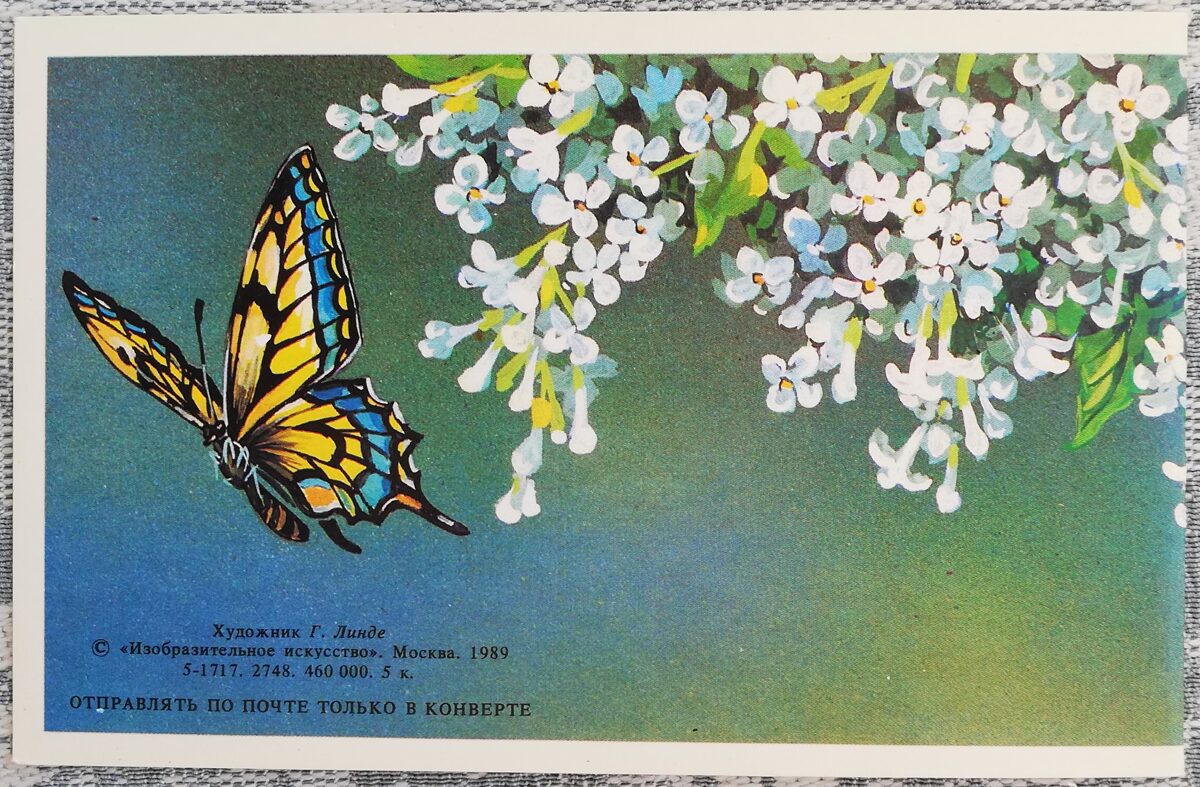 Greeting card 1989 "Congratulations!" 14x9 cm Lilac branch and flying butterflies  