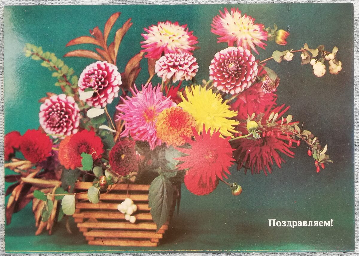 1984 "Congratulations!" 15x10.5 cm Basket with asters and dahlias 