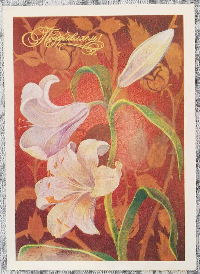 Greeting card 1985 "Congratulations!" 10.5x15cm Lily 