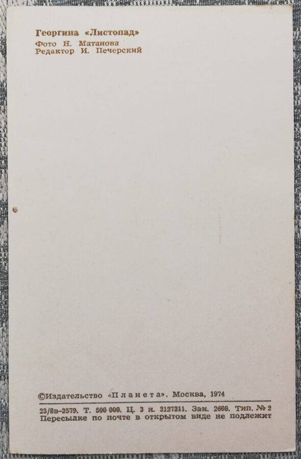 Dālijas "Lapkritis" 1974. gada pastkarte 9x14 cm N. Matanova foto 