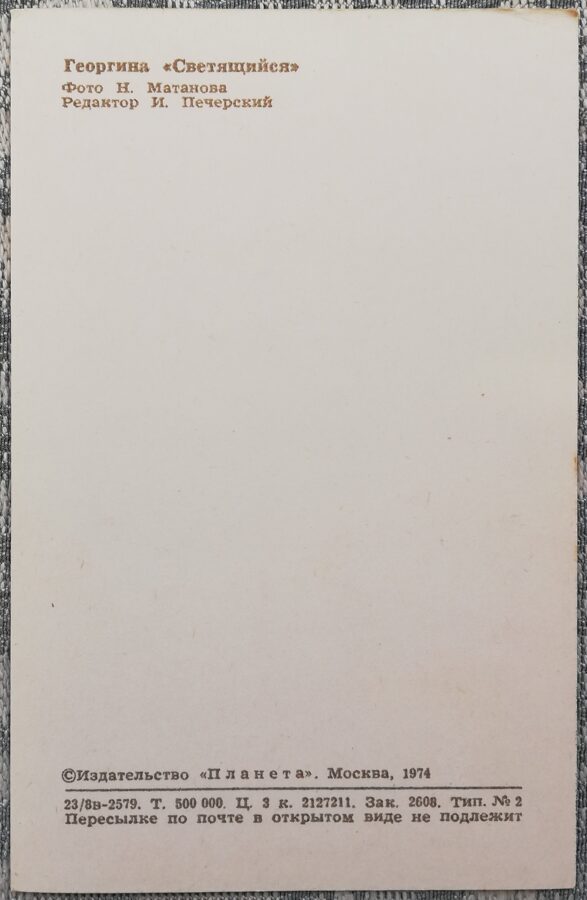 Dālijas "Spīdošs" 1974 pastkarte 9x14 cm N. Matanova foto 
