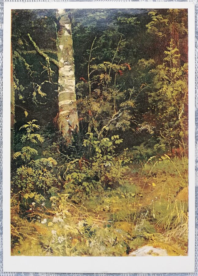 Ivans Šiškins 1984 “Bērzs un pīlādži. Etīde. " 10,5x15 cm 