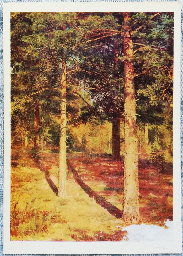Ivan Shishkin 1979/1984 "Pines illuminated by the sun" 10.5x15 cm 