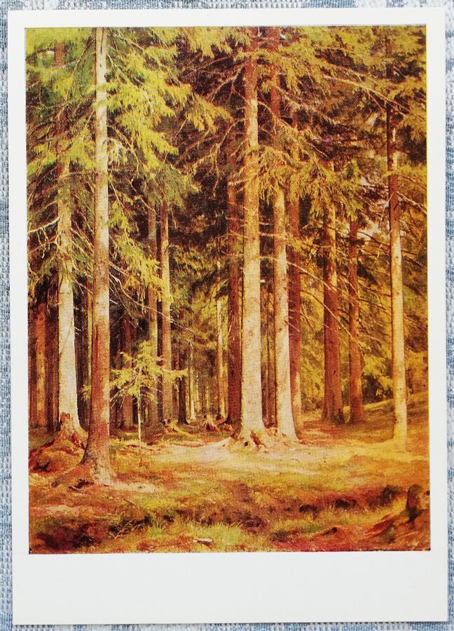 Ivan Shishkin 1979 "Spruce forest" 10.5x15 cm 