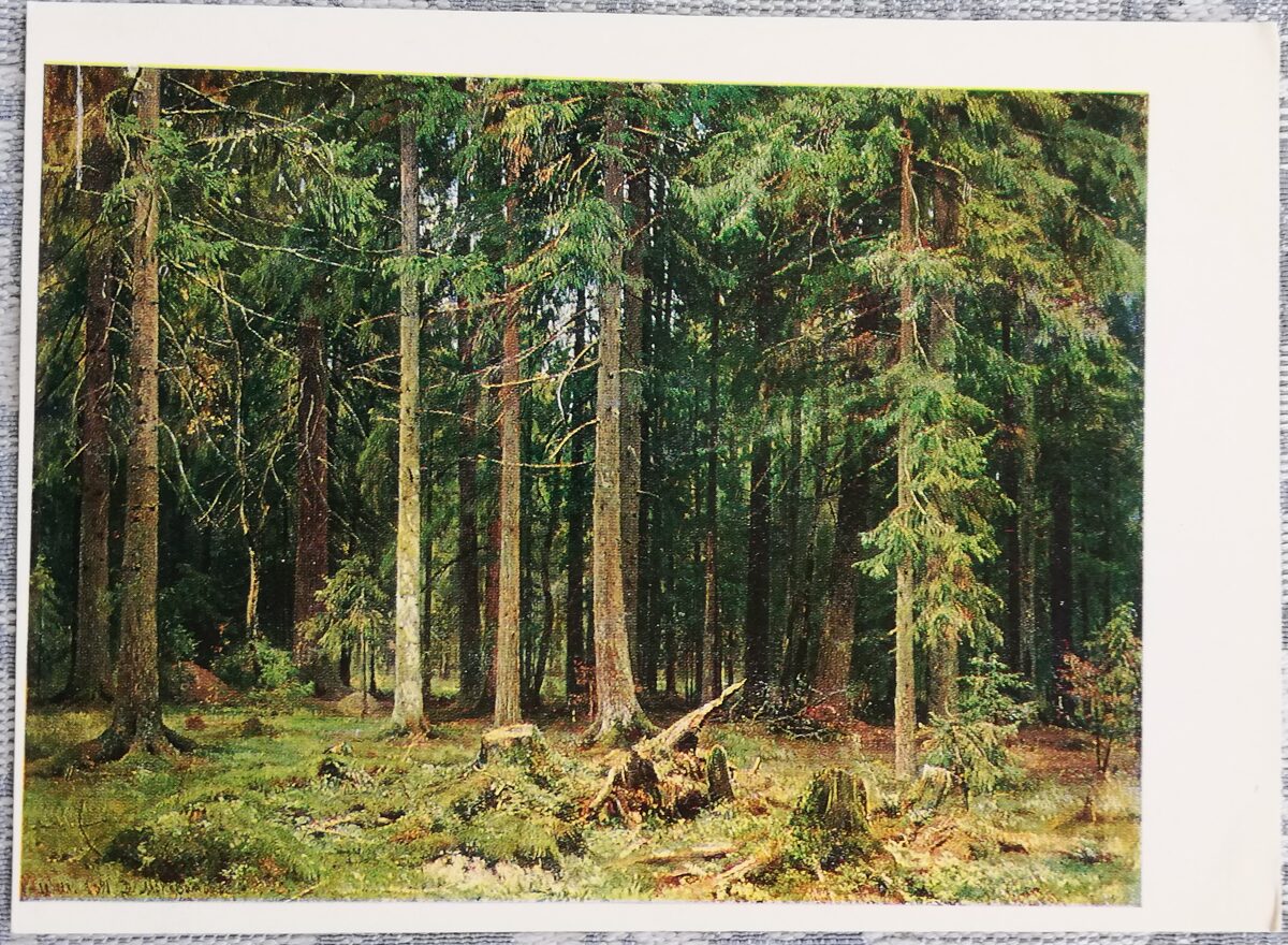 Ivan Shishkin 1986 "Forest in Mordvinov" 15x10.5 cm 
