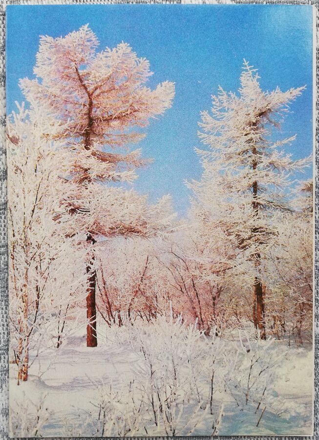 1988. gada Jaungada kartīte "Laimīgu Jauno gadu!" Ziemas mežs 10,5x15 cm 