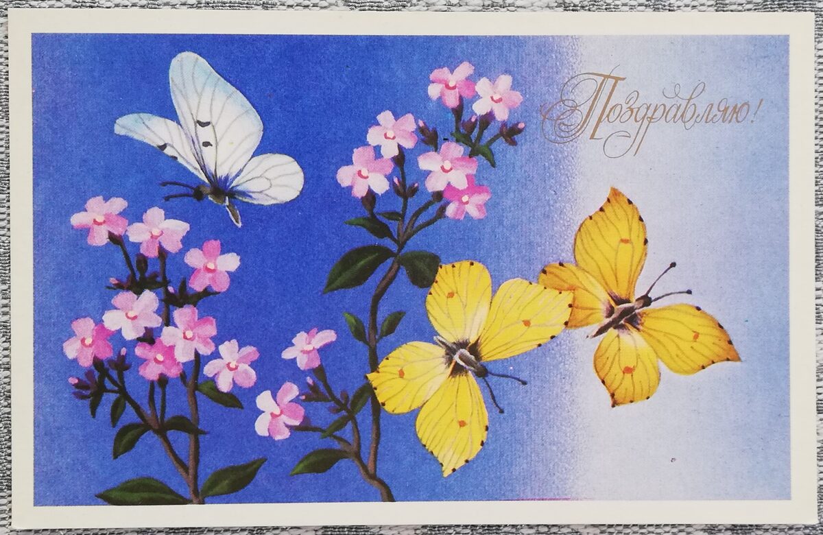 "Congratulations!" 1987 postcard USSR 14x9 cm Butterflies 