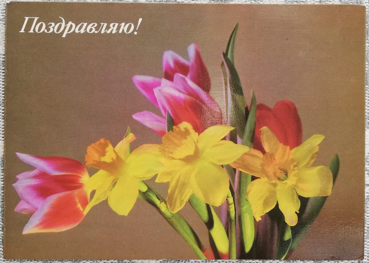 "Congratulations!" 1986 postcard USSR 15x10.5 cm Daffodils and tulips  