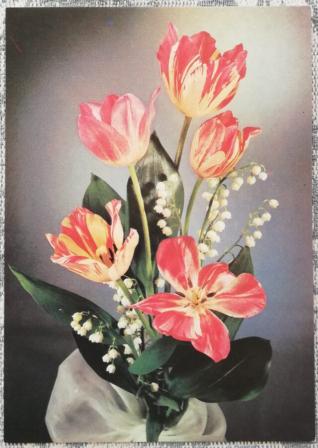 "Congratulations!" 1988 postcard USSR 10.5x15 cm Tulips and lilies of the valley  