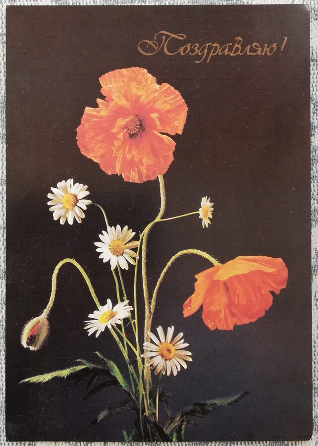 "Congratulations!" 1989 greeting card USSR Red poppies with daisies 10.5x15 cm  