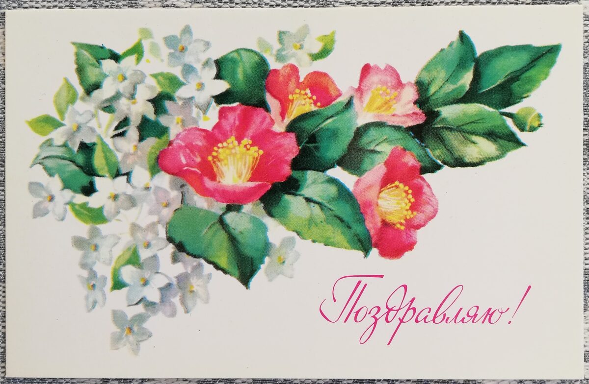 "Congratulations!" 1976 postcard USSR 14x9 cm Rosehip and jasmine flowers 