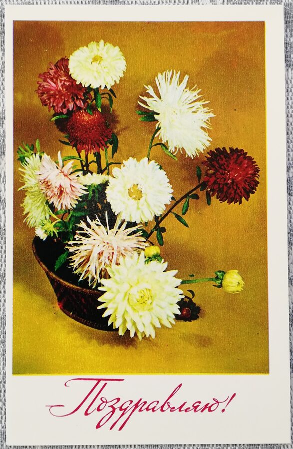 "Congratulations!" 1976 postcard USSR 9x14 cm Asters 