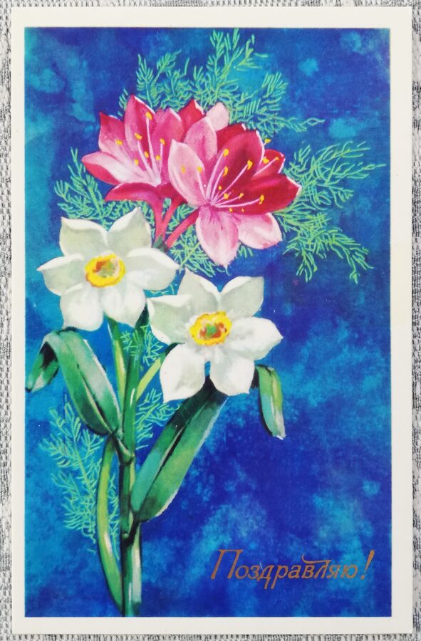 "Congratulations!" 1976 postcard USSR 9x14 cm White daffodils  