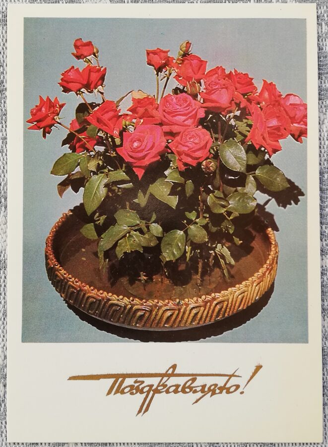 "Congratulations!" 1977 postcard USSR 10,5x15 cm Roses  