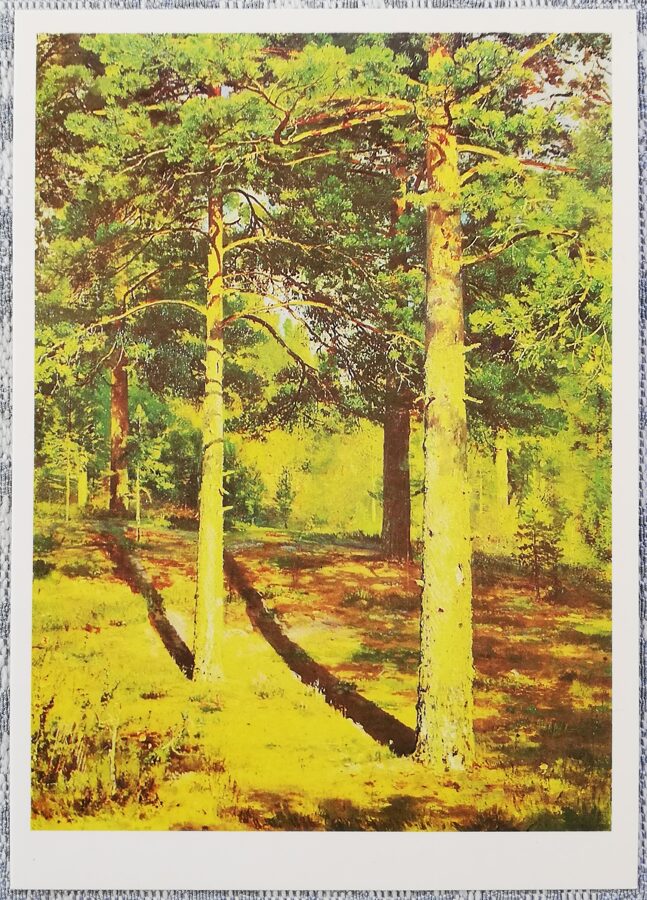 Ivans Šiškins 1979/1984 "Saules izgaismotās priedes" 10,5x15 cm 