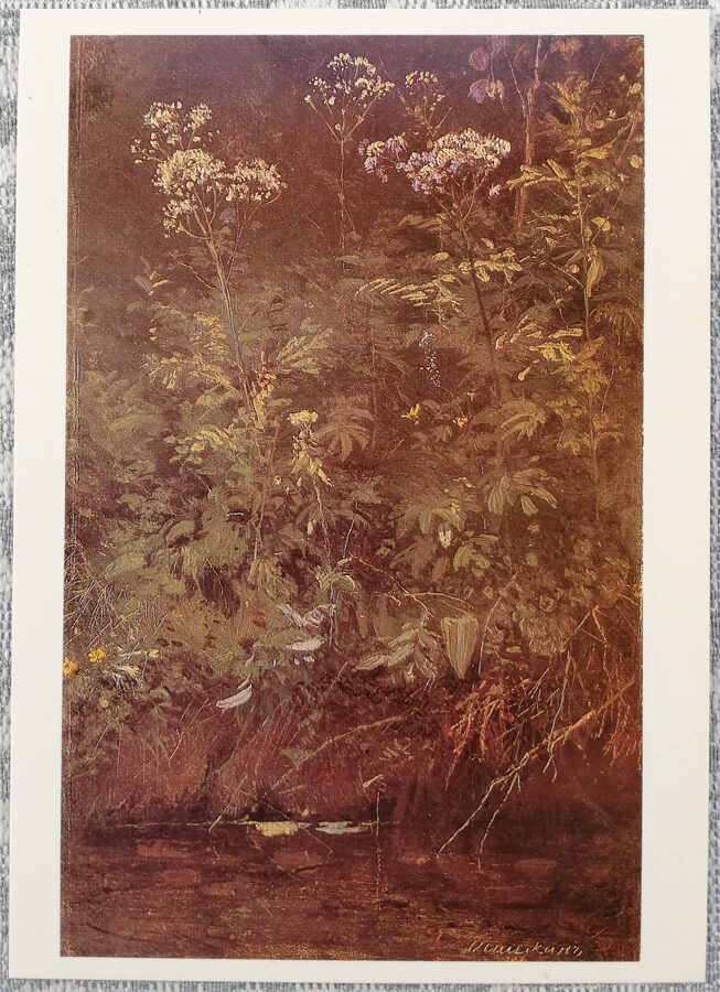 Ivans Šiškins 1984 "Savvaļas puķes pie ūdens" mākslas pastkarte 10,5x15 cm 