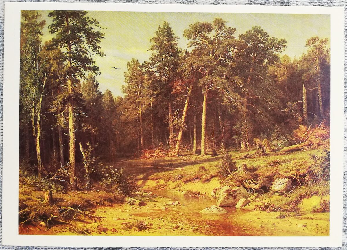 Ivans Šiškins 1984 “Priežu mežs. Mastu mežs Vjatkas provincē. mākslas pastkarte 15x10,5 cm  