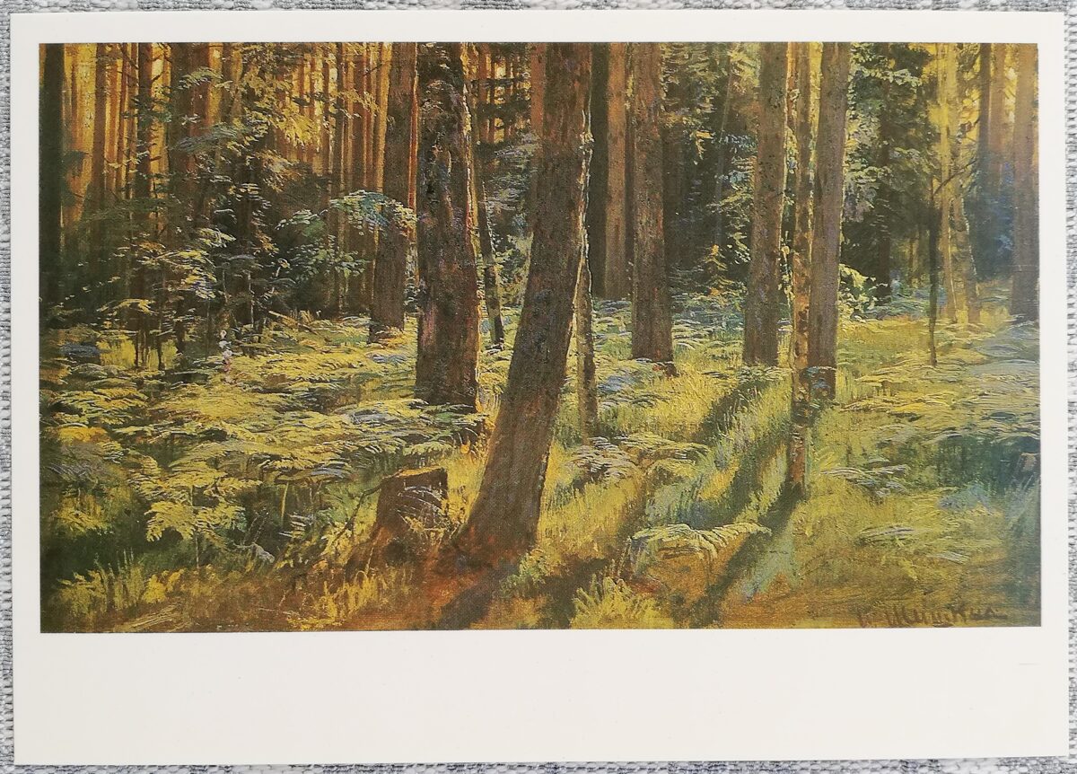 Ivan Shishkin 1984 “Ferns in the forest. Siverskaya. " art postcard 15x10.5 cm 
