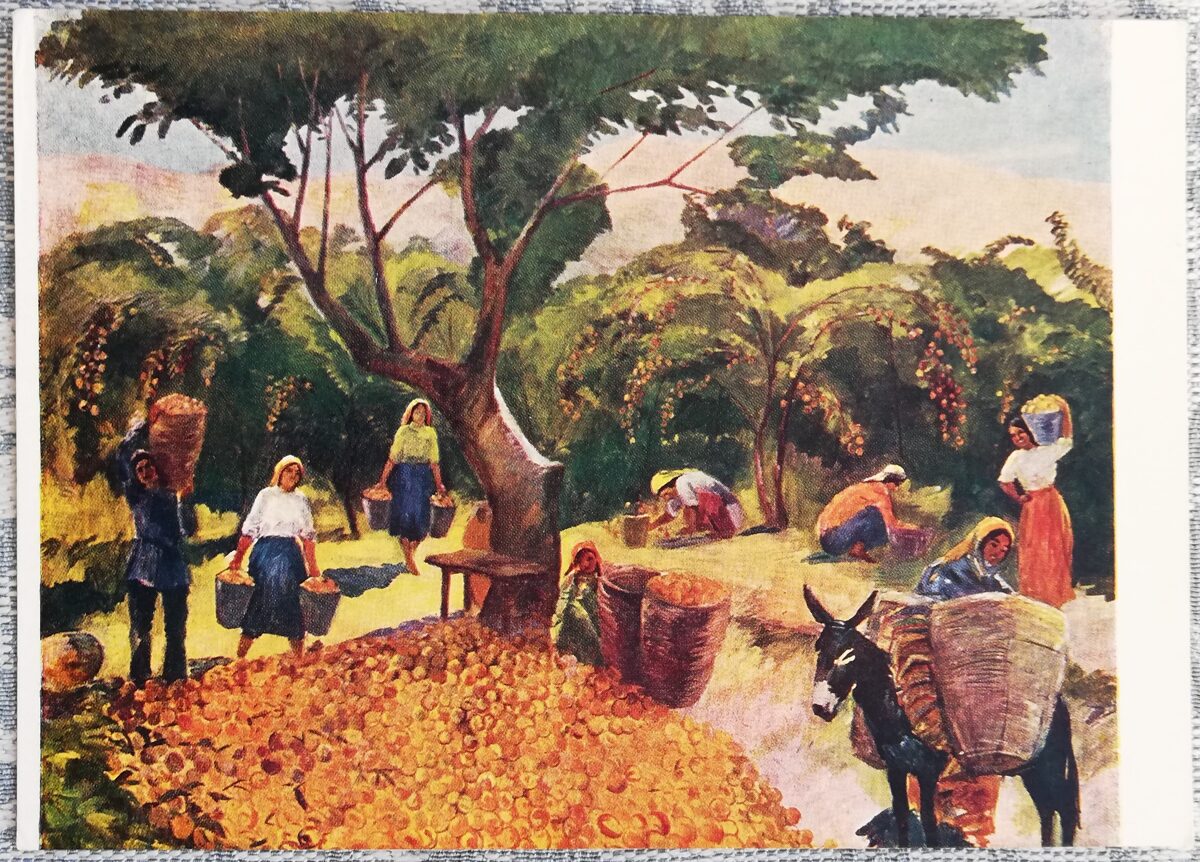 Мартирос Сарьян 1960 «Сбор персиков в колхозе Армении» художественная открытка 15x10,5 см  